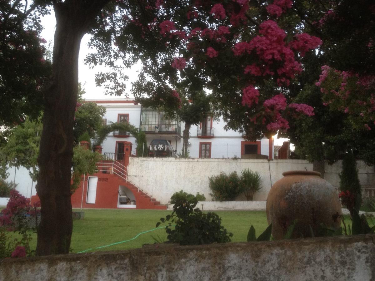 Finca La Carnicera Constantina Eksteriør billede