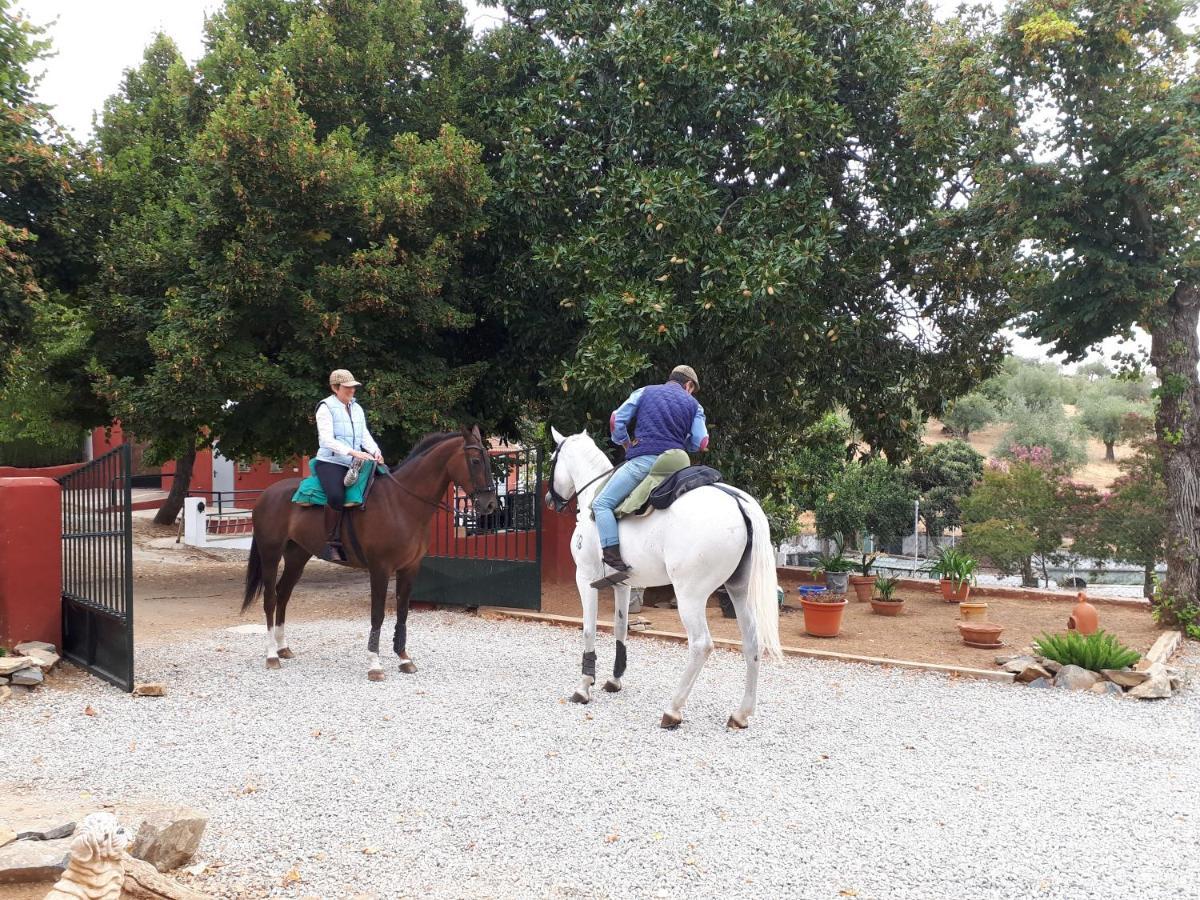 Finca La Carnicera Constantina Eksteriør billede